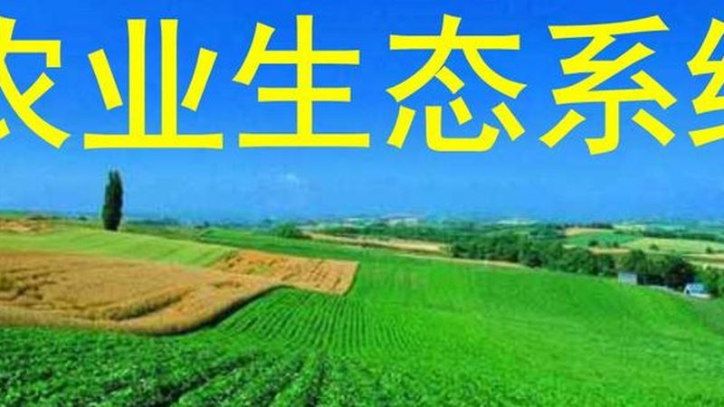 河南农资厂家直销，如何确保价格透明与质量可靠？**
