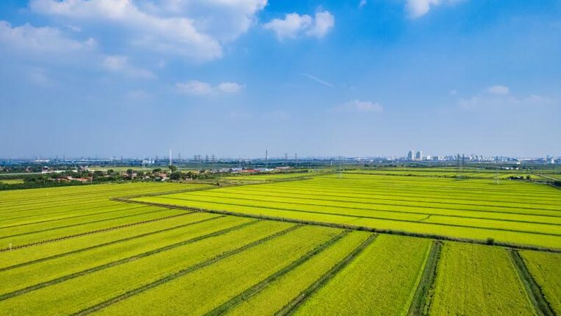 农业种植设备：揭秘十大品牌背后的技术实力**