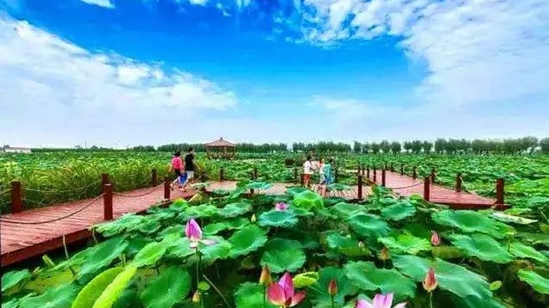 在实际操作中，一些农场主在选择智慧农业加盟代理时容易陷入以下误区：