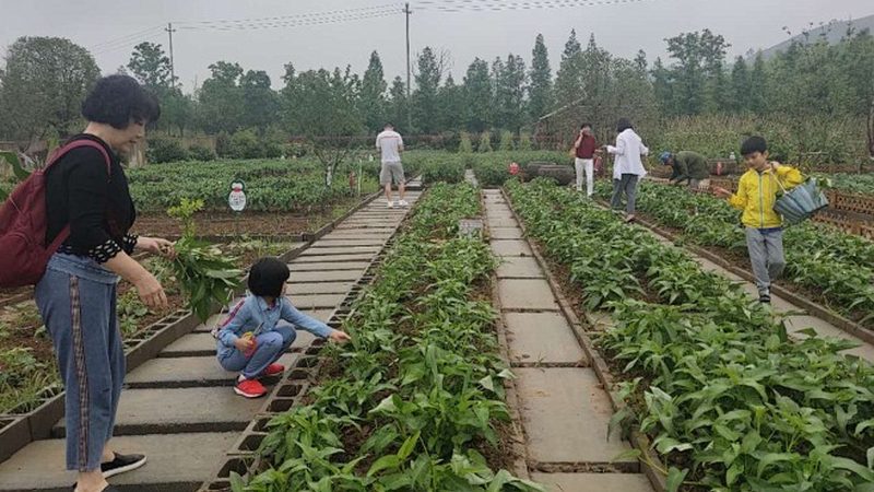 农产品电商平台定制开发的必要性及要点解析