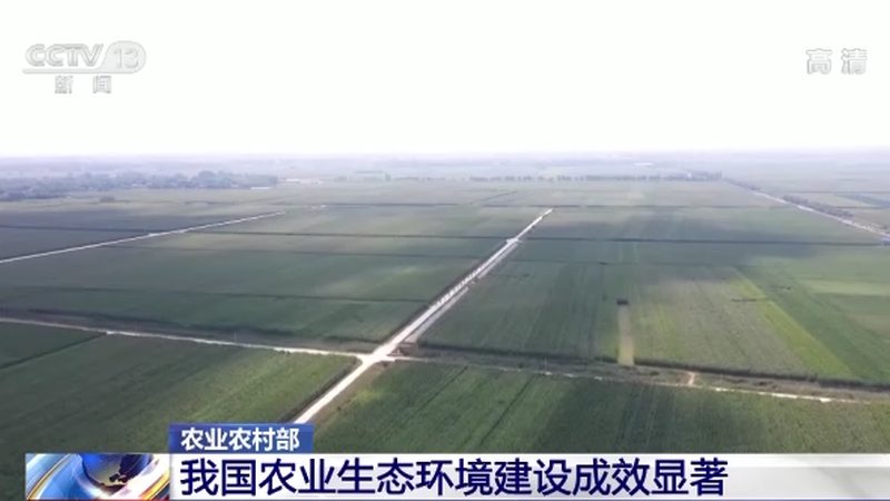 农业项目代理品牌：如何选择与评估？**