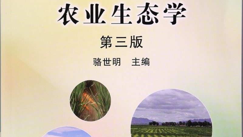 四川农产品品牌策划，如何打造地域特色与市场竞争力
