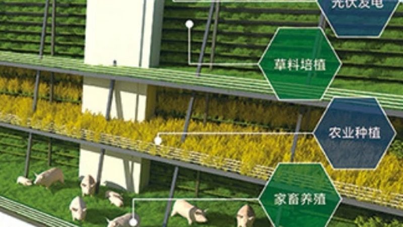 农资批发市场进货流程：揭秘高效采购之道
