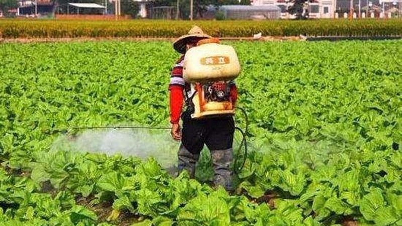 智慧农业大数据平台：助力农业现代化的十大品牌解析