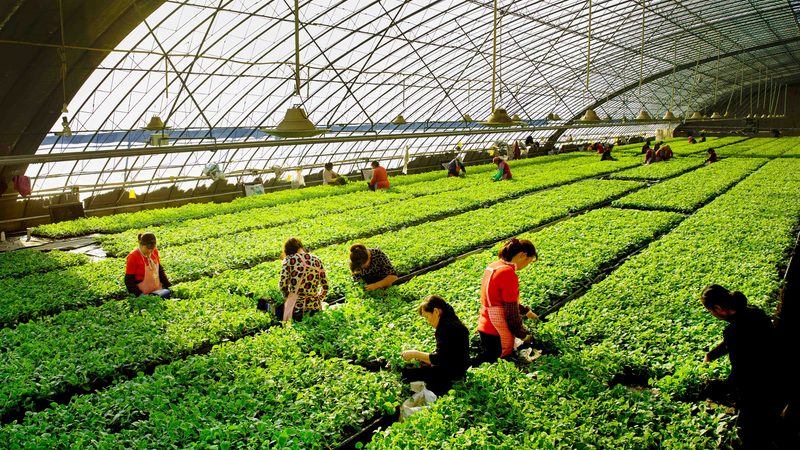 现代农业物联网解决方案适用场景